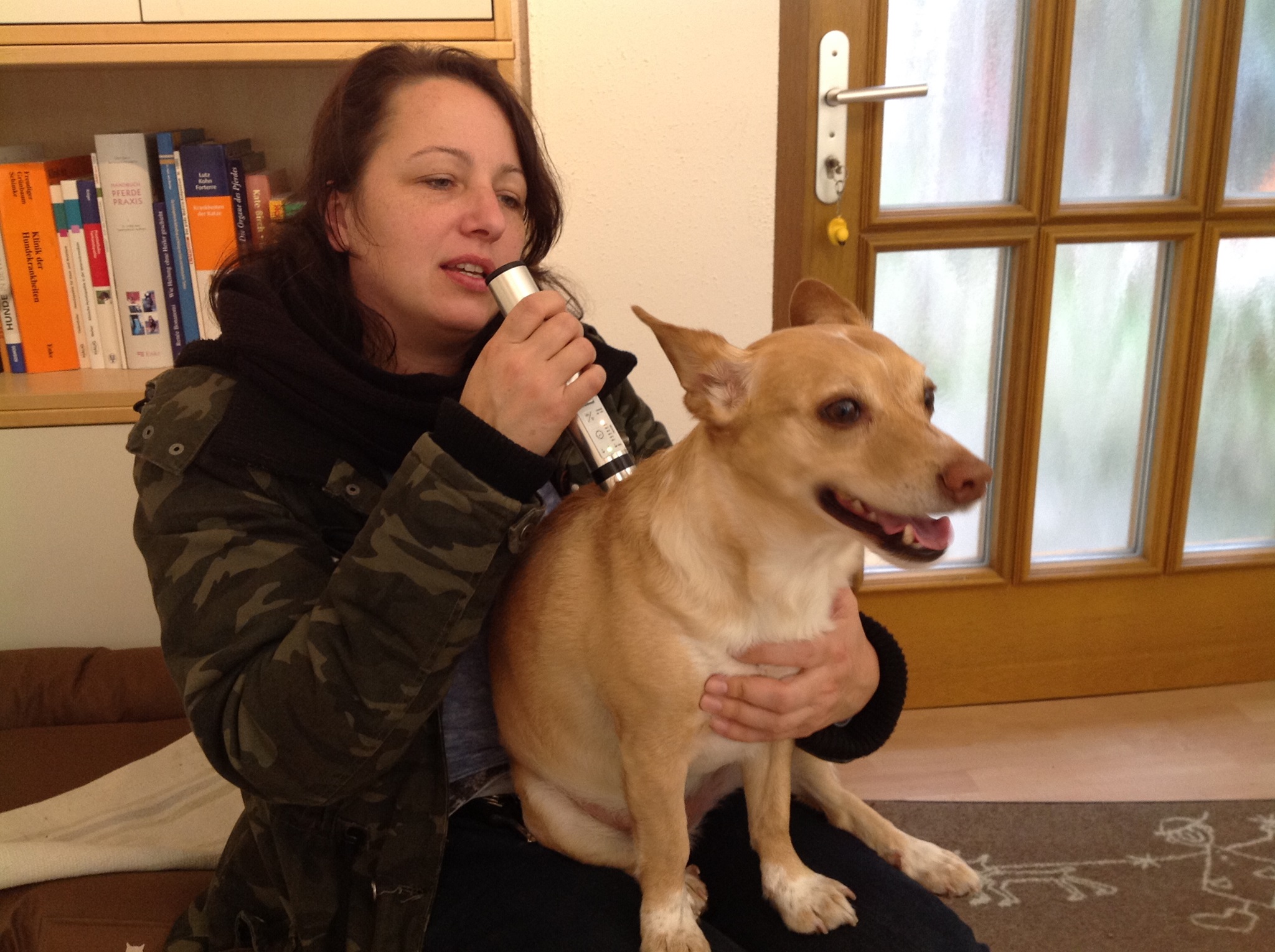 PowerTube-Behandlung-Hund-Brustwirbel